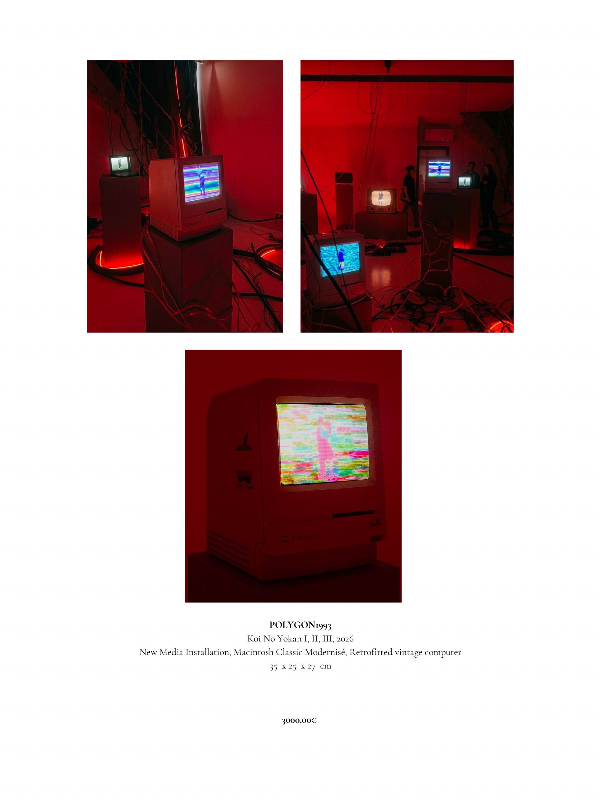 NEW_ENG_Catalogue_ArtVerse_POLYGON1993-compressed-36